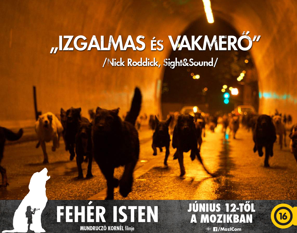 feheristenidezetek01