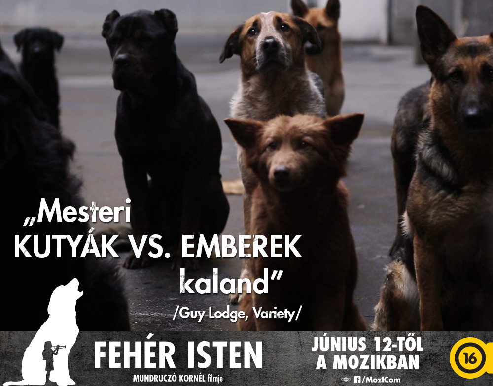 feheristenidezetek03