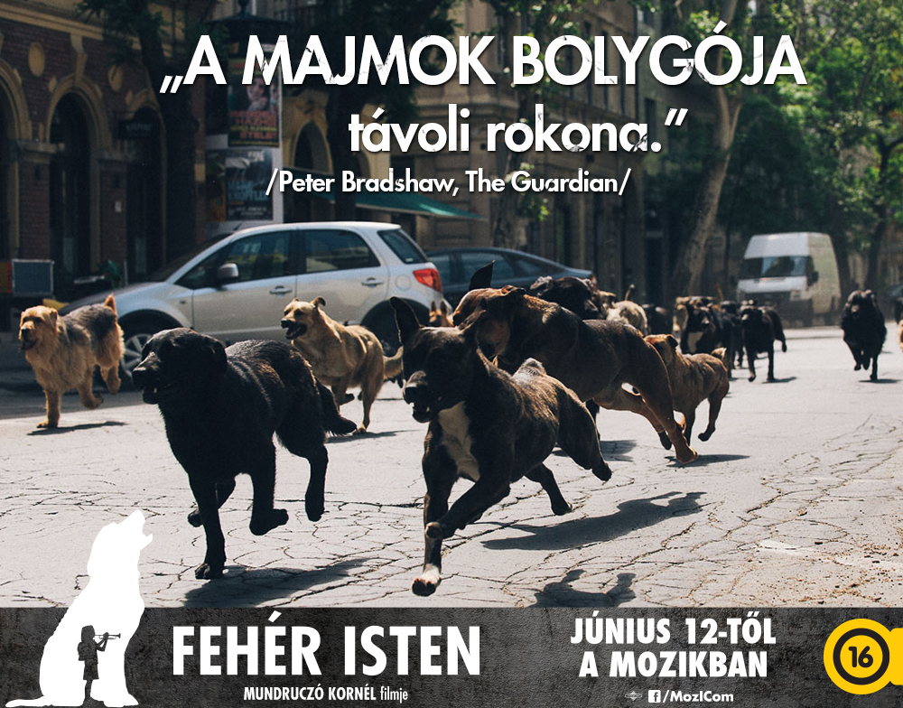 feheristenidezetek04