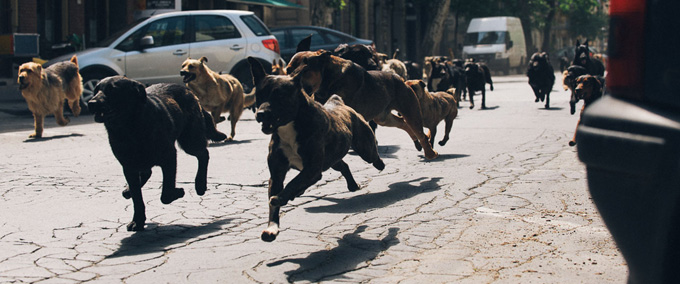 feheristenpic03small