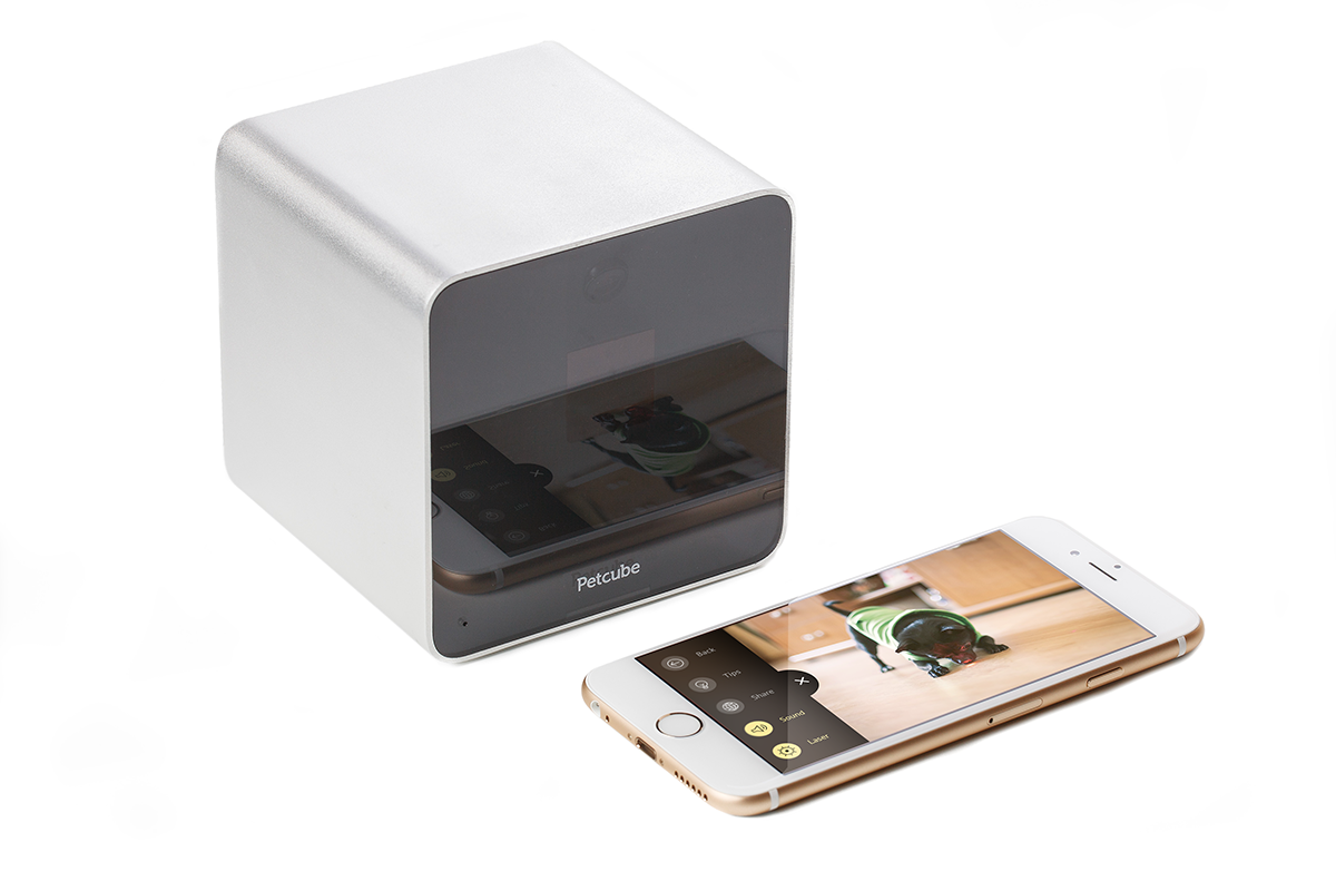 Petcube_Camera-iOS.png
