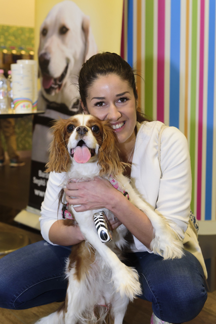 vakvezeto_kutyak 0003