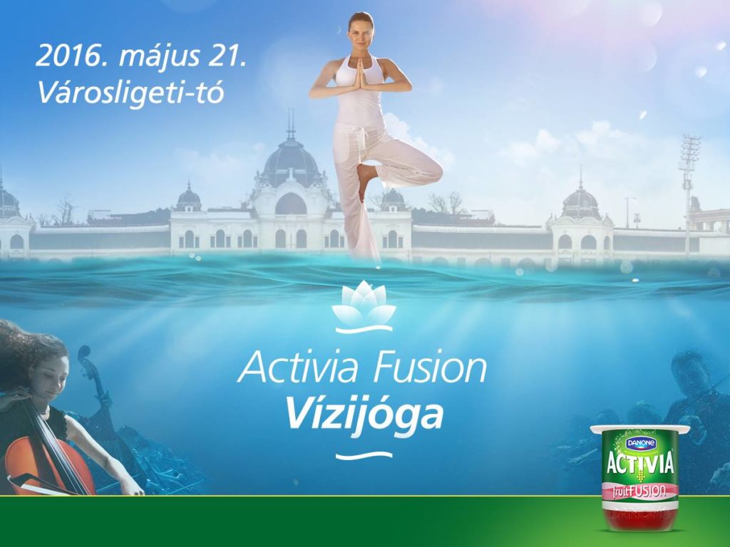 Fusion_Vizijoga