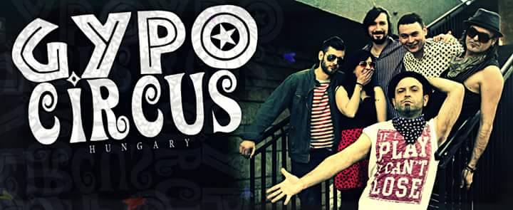 gypocircus1