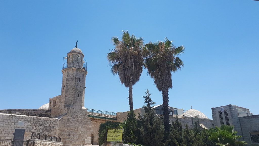 Bulls of Prey - Kingdom of The End