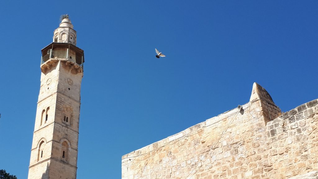 Jeruzsálem - Bulls of Prey - Kingdom of The End