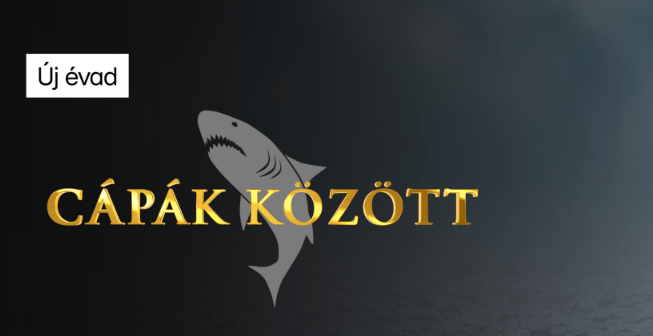 Cápák között 6. évad