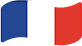 flag of France