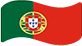 flag of Portugal